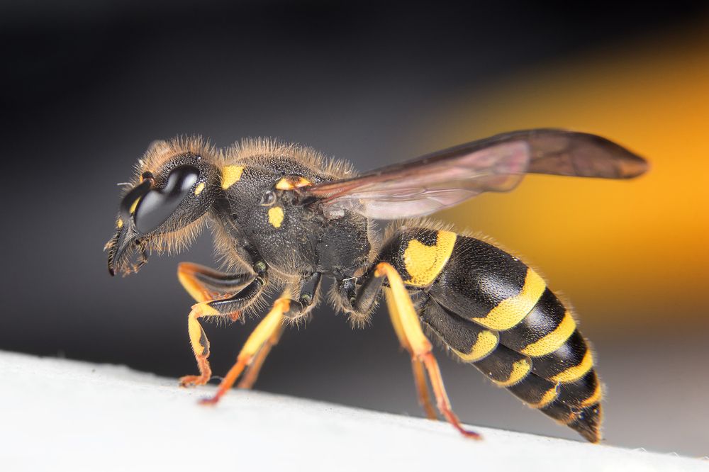 Photograph by Markus Bieck