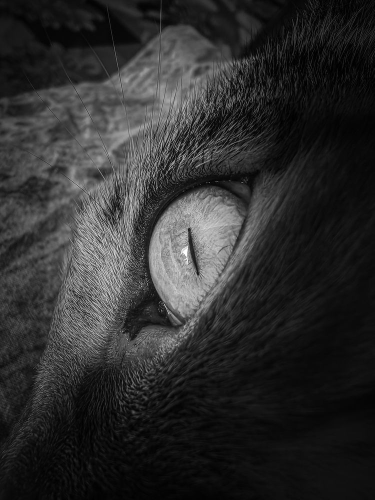 Фотография автора Александр Хухлов