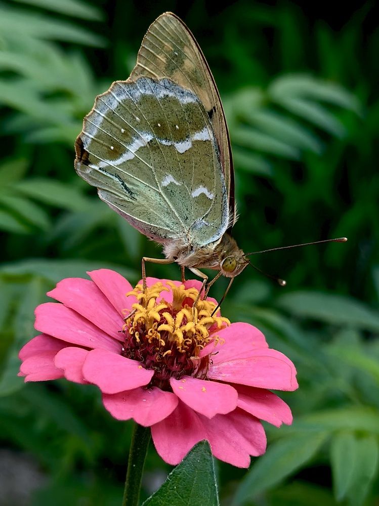 Photograph by Евгения Казакова