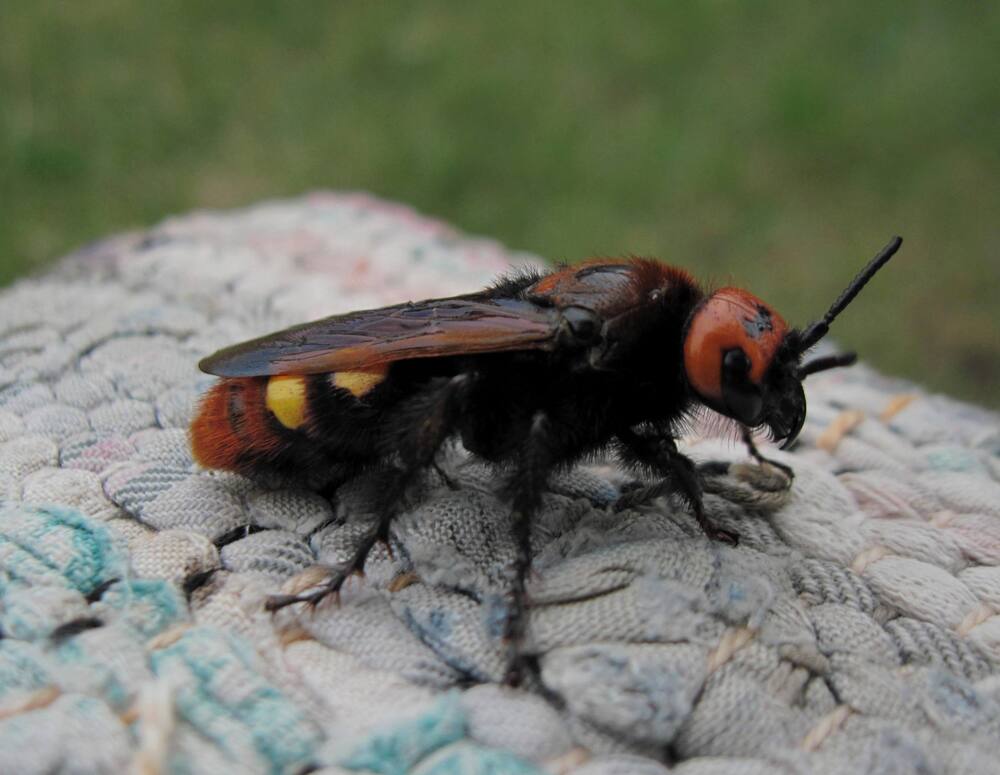 Photograph by Viktoriia Rusanova