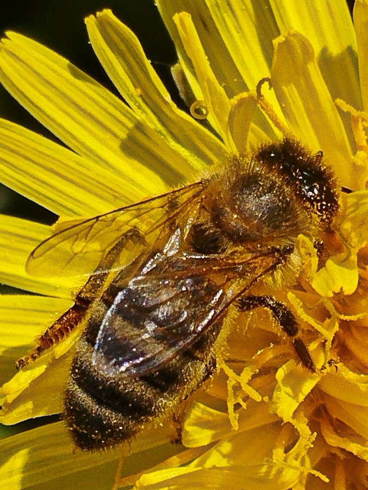 Photograph by Ия Дирко