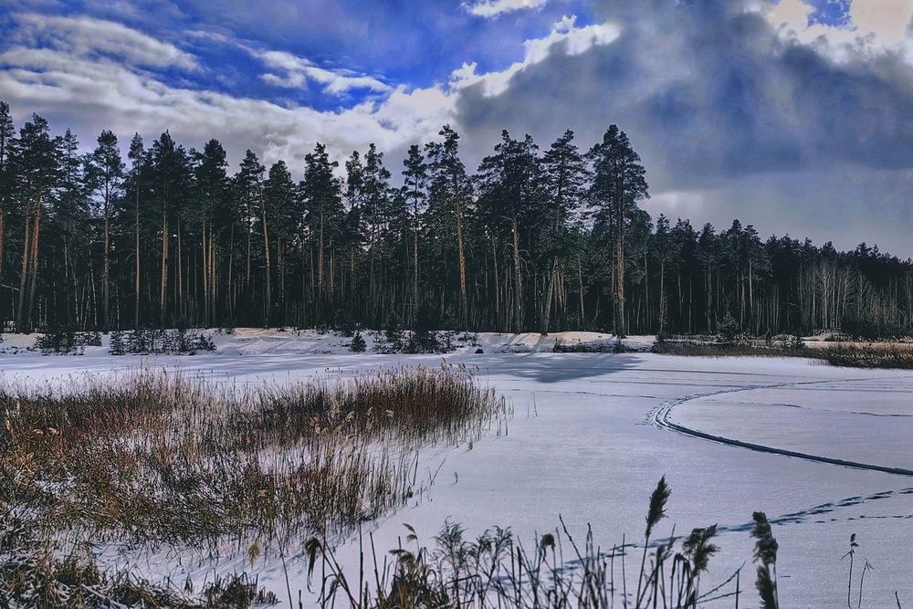 Photograph by Татьяна Бравая