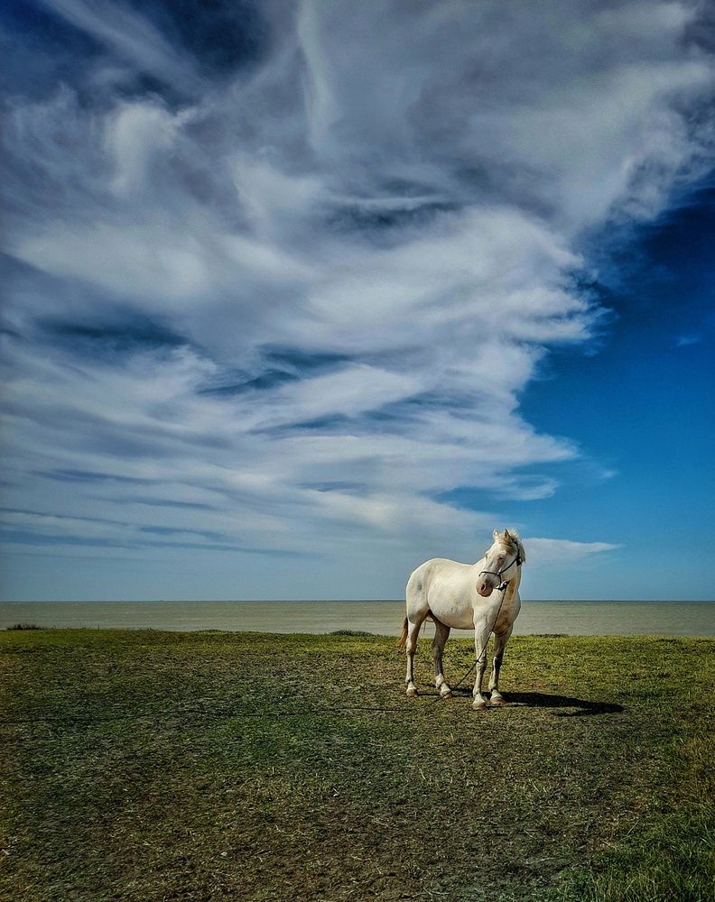 Photograph by Roberto Hagemann