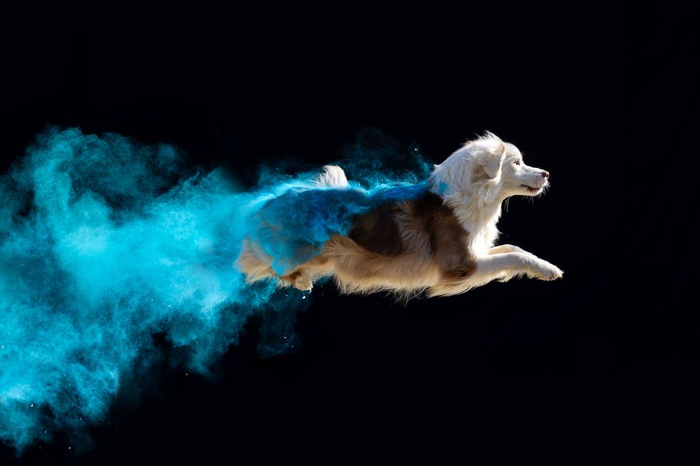 Photograph by Ирина Голомб