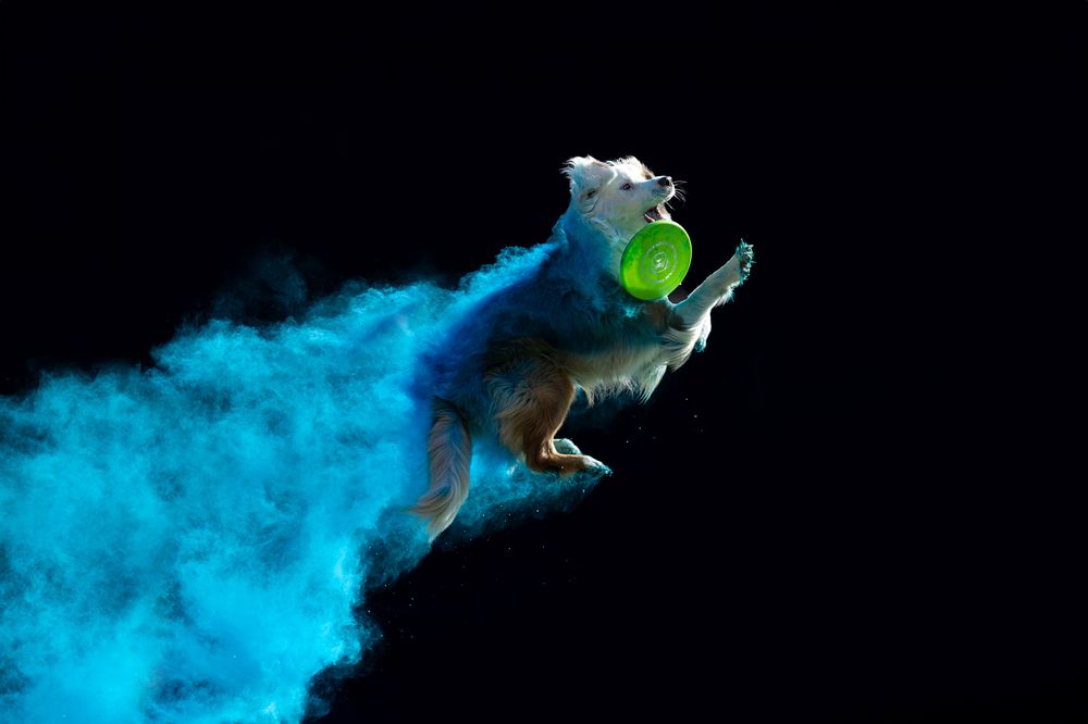 Photograph by Ирина Голомб