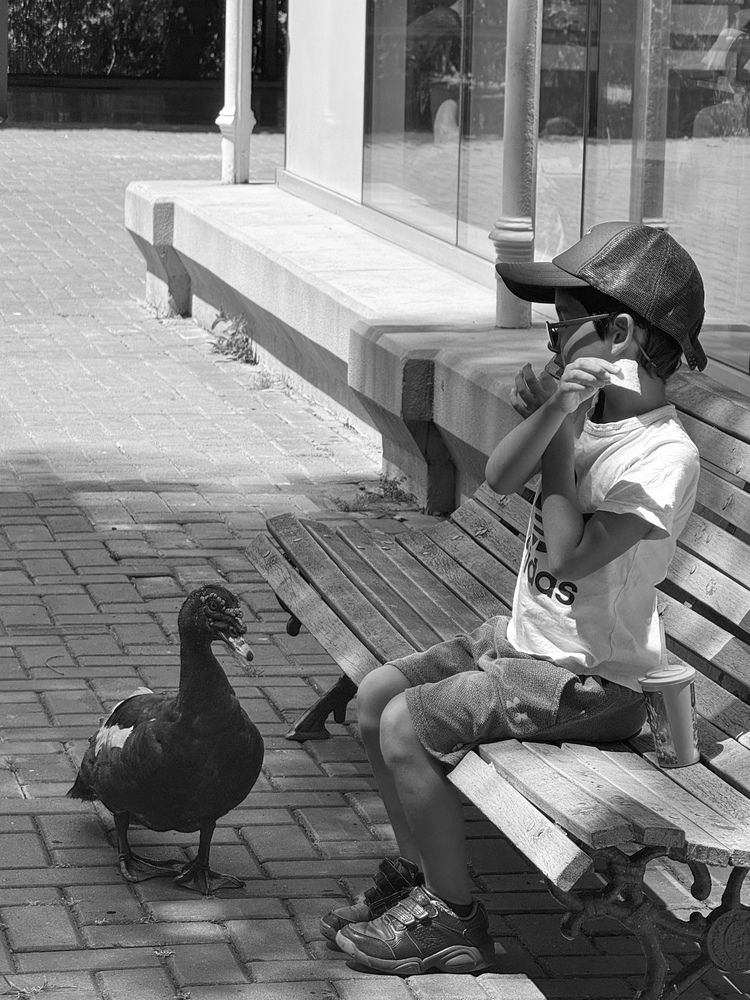 Photograph by Татьяна