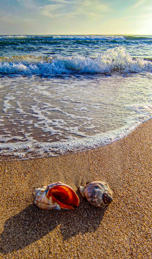 Photograph by Анна Кравец