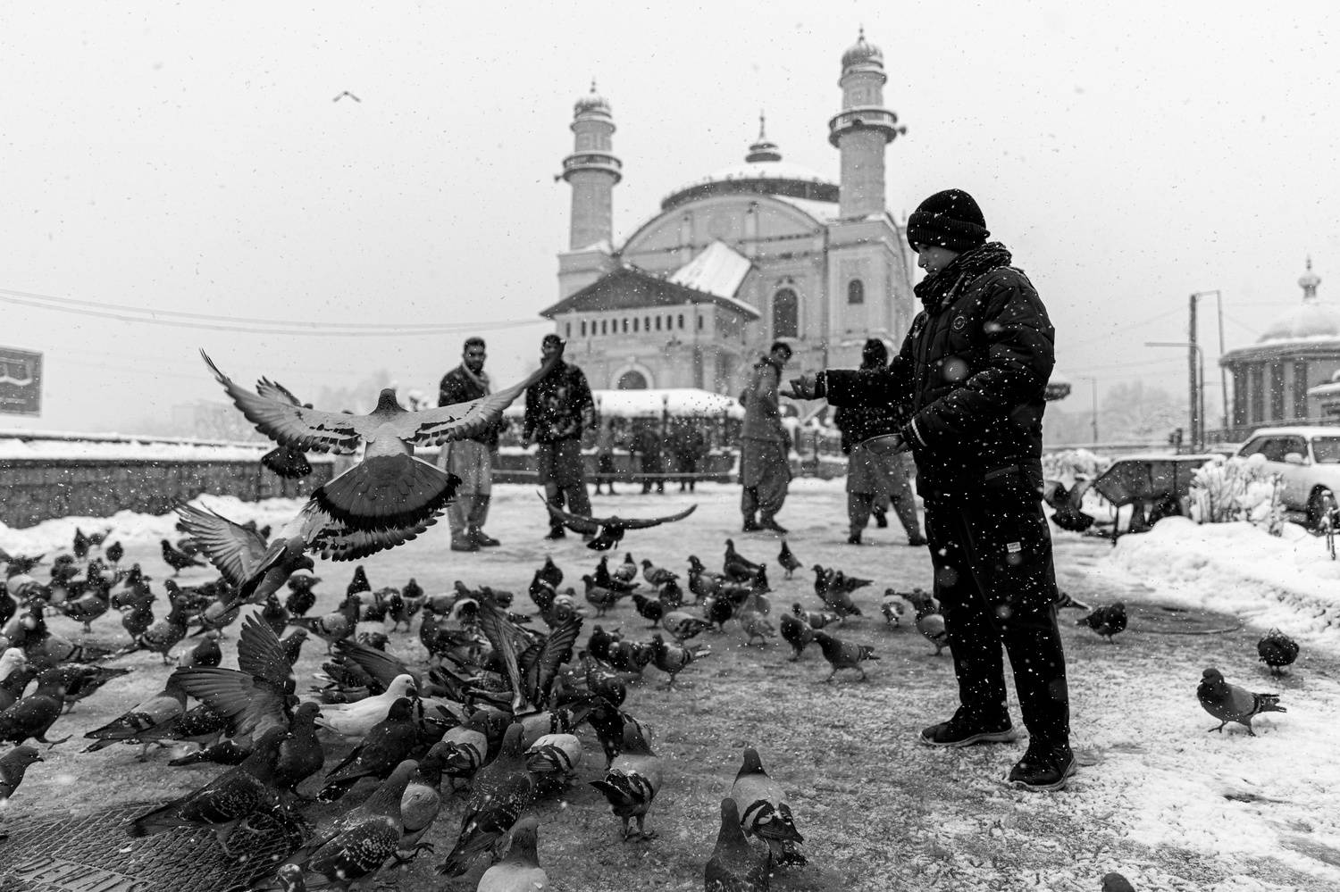 Фотография #11924694