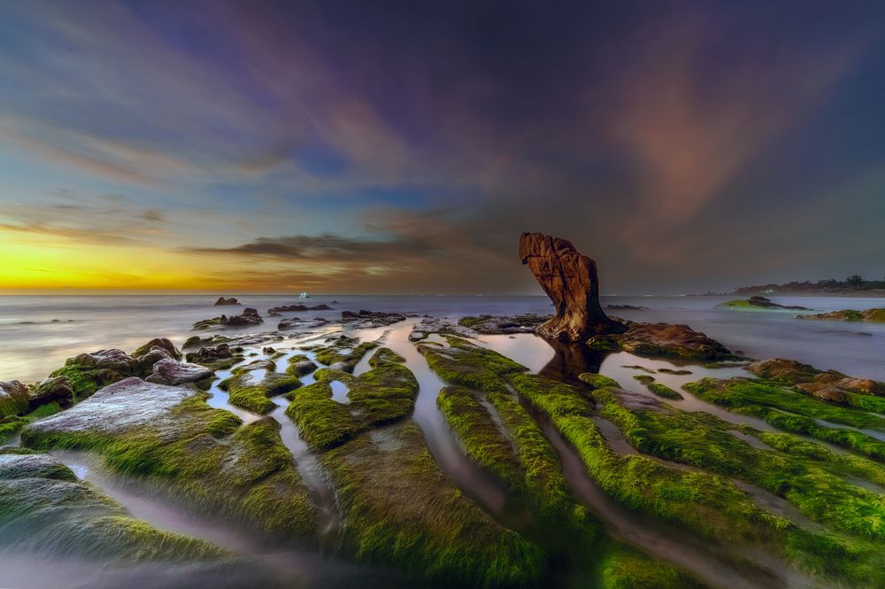 Photograph by Lê Huy Anh