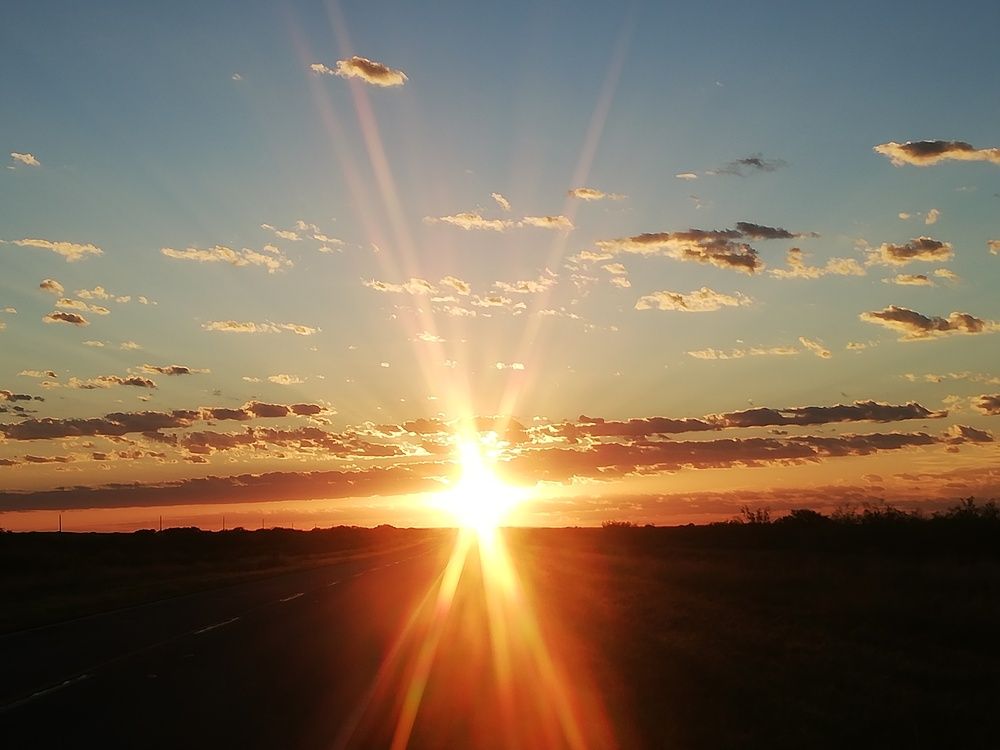 Photo #11924754