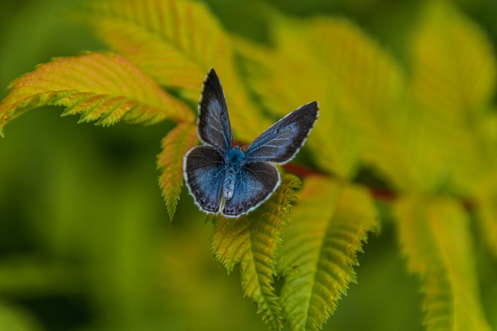 Photograph by Irina Luidinshina