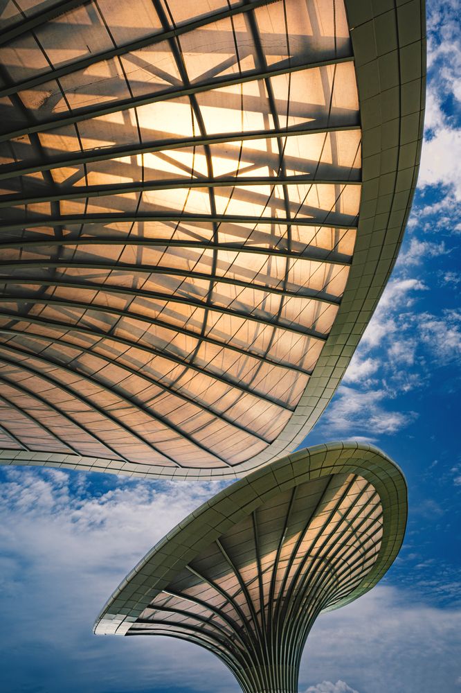 Photograph by Ольга Мусиенко