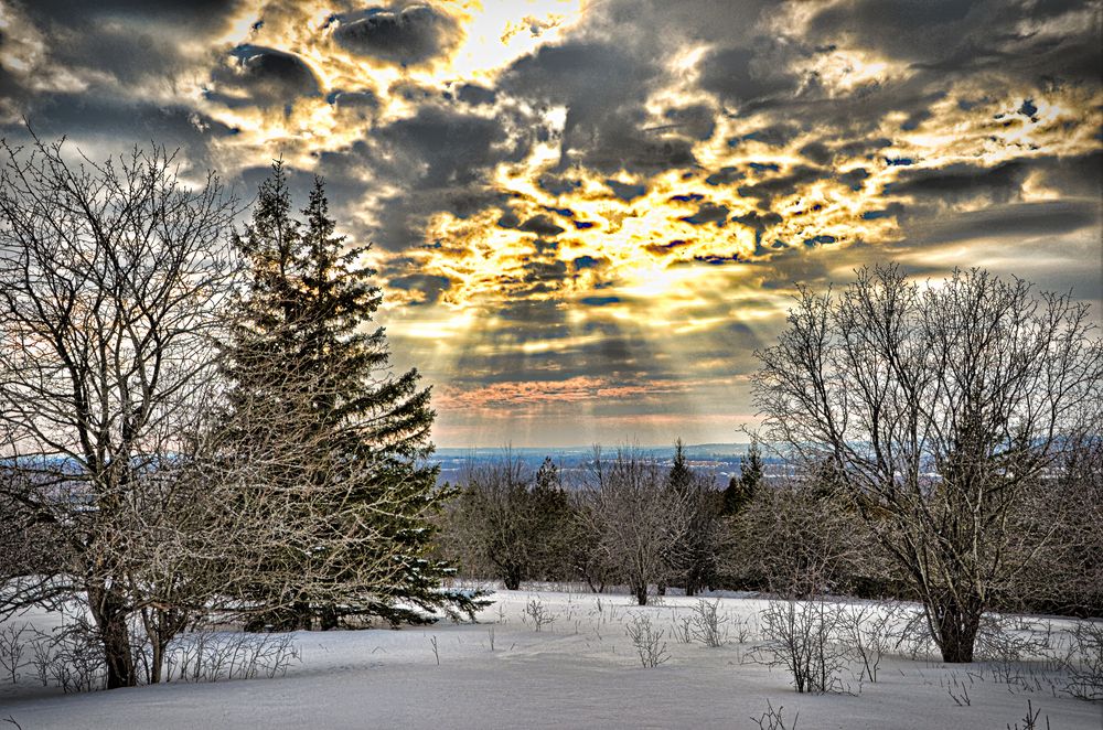 Photograph by Ken Oliver