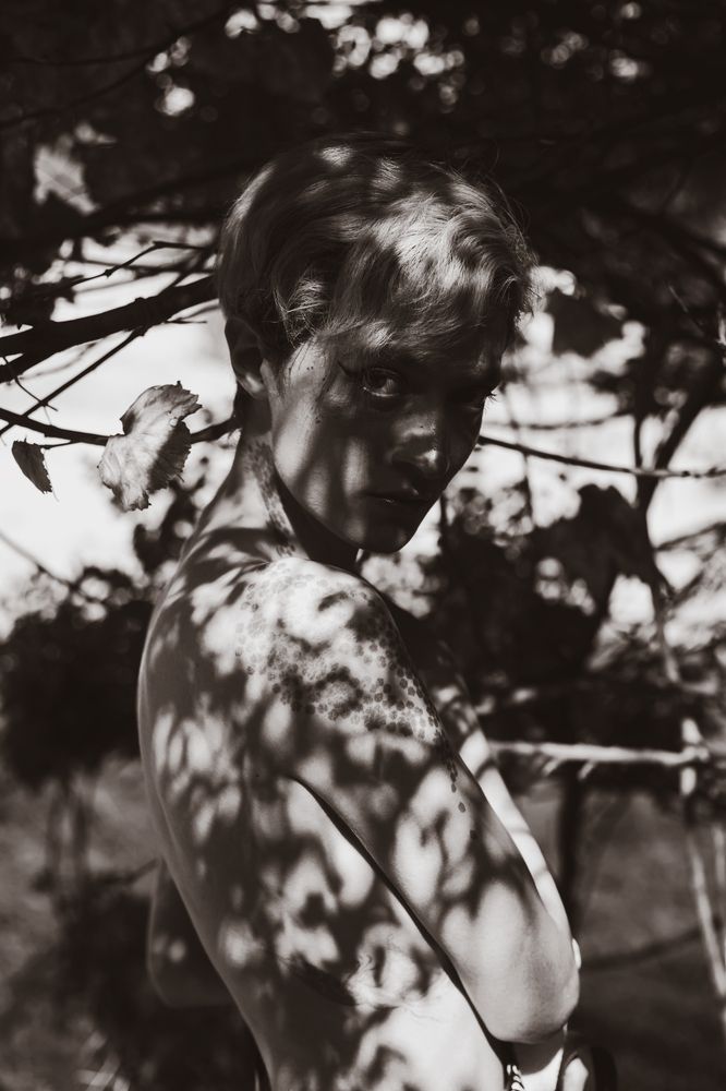 Echoes of the shadows