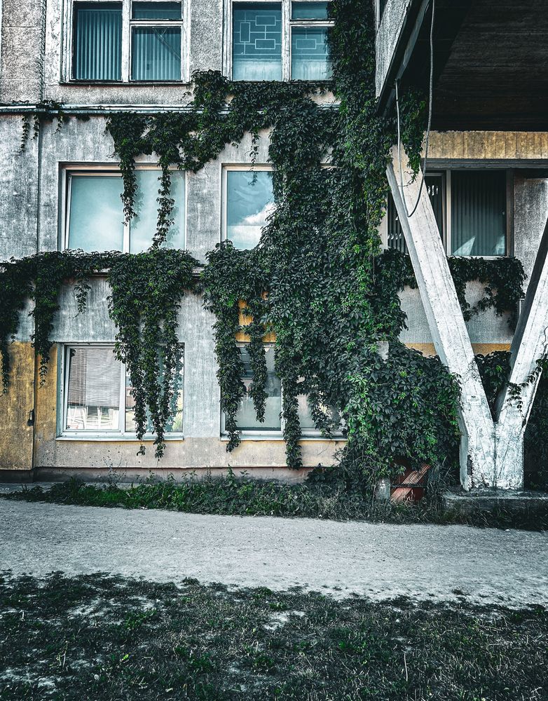 Фотография автора Николай