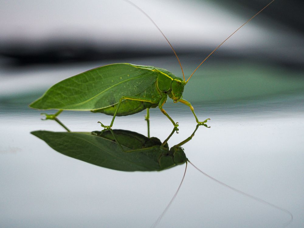 Photograph by WEONBAE PARK