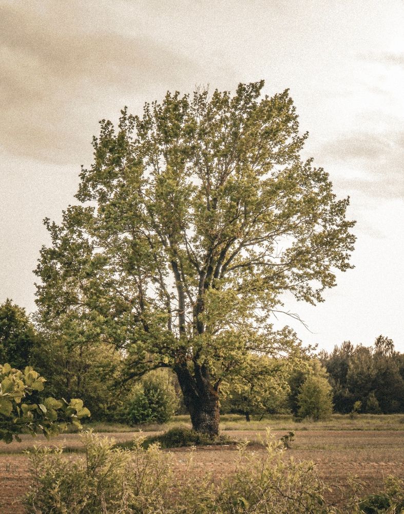 Фотография автора Николай