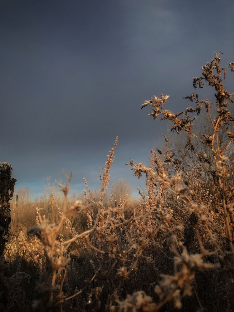 Photograph by Ирина Елсукова