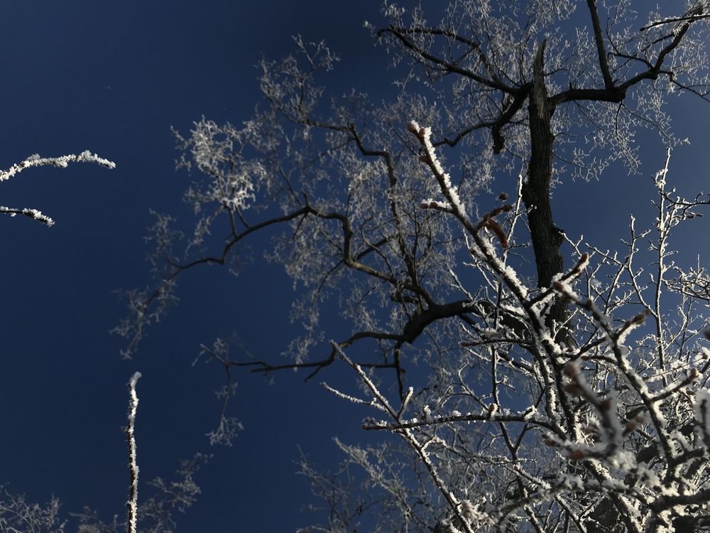 Photograph by Ирина Елсукова