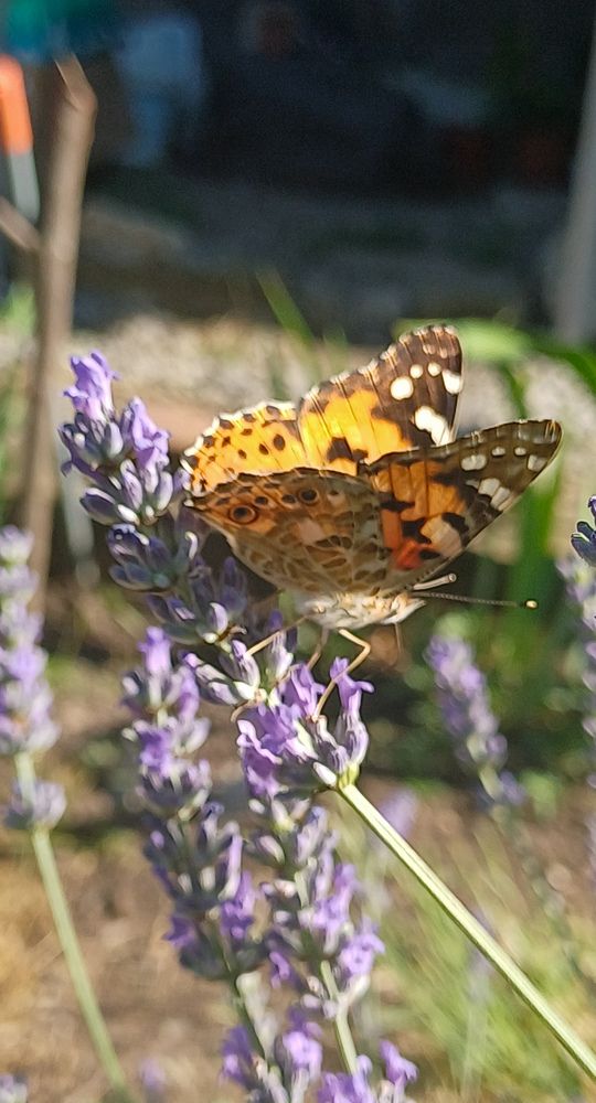 Photograph by Ирина Дмитриенко