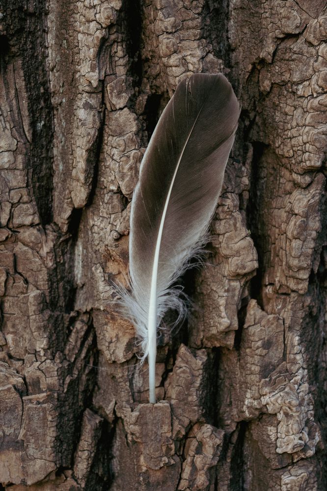 Photograph by Анастасия