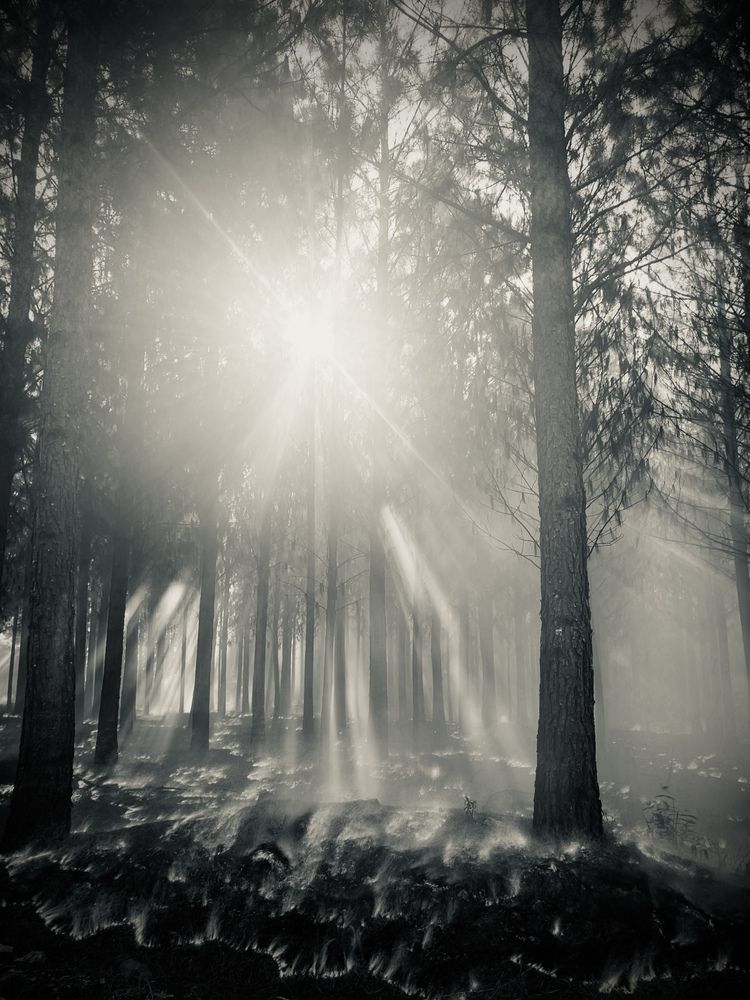 Photograph by Andrew Becker