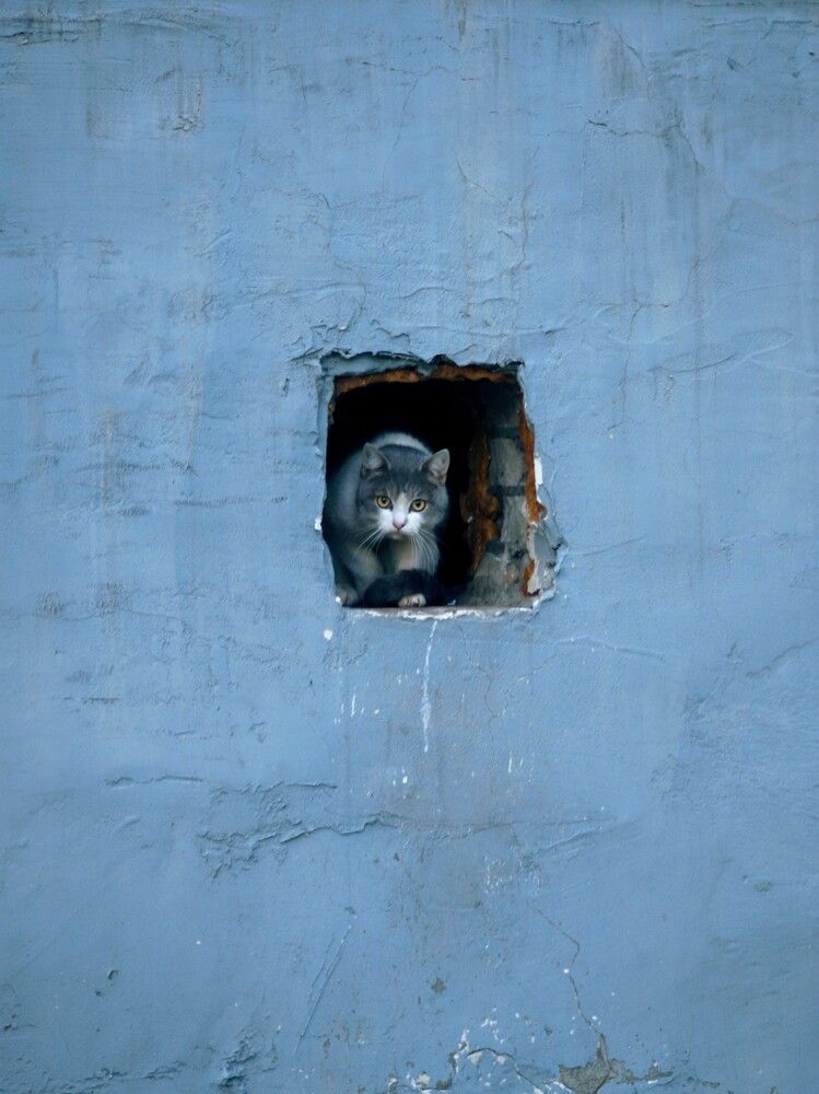 Photograph by Ксения Шилина