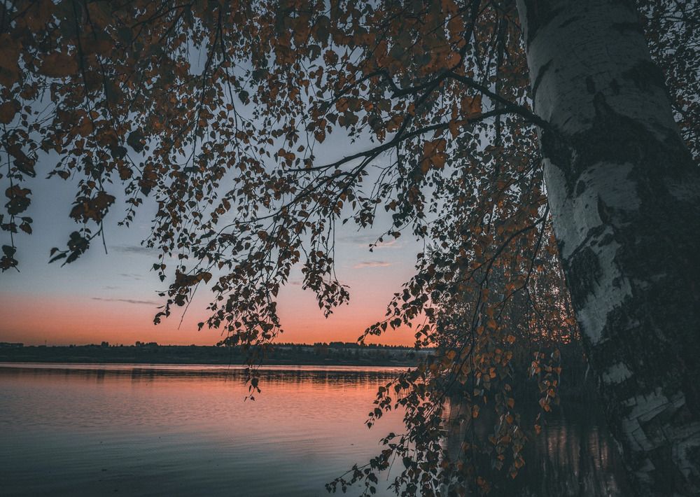 Photograph by Кирилл Сидоров