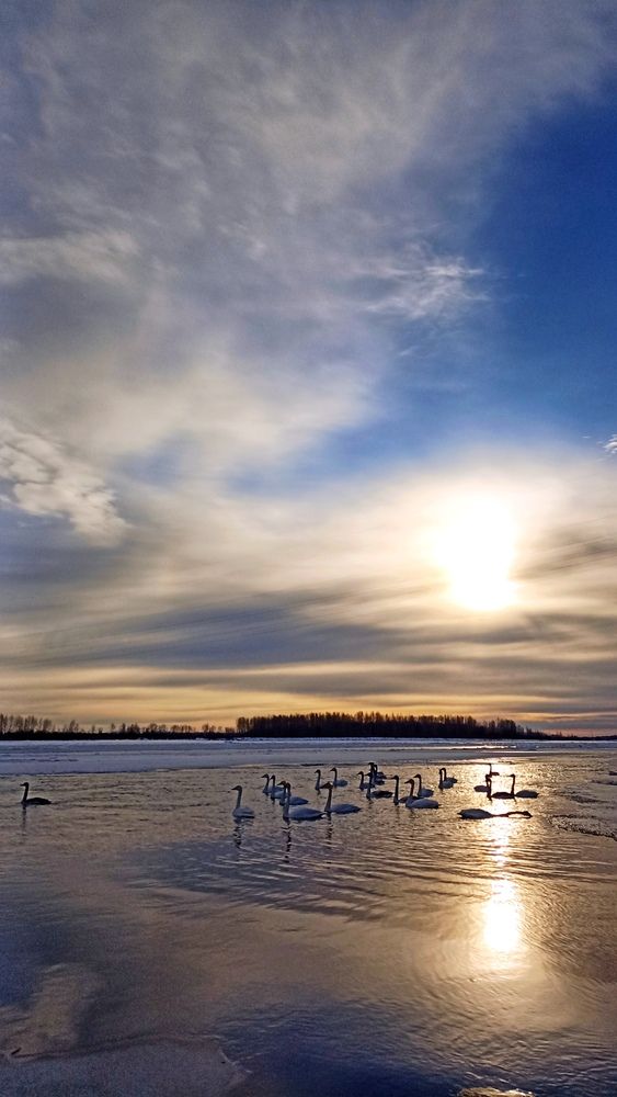 Photograph by Олеся Лосыгина