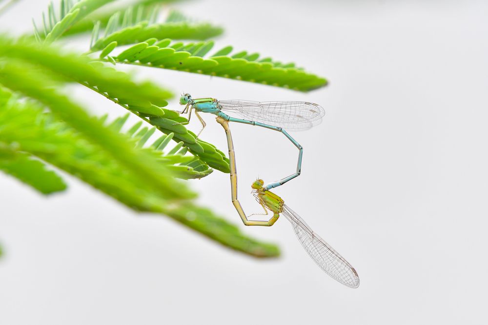 Photograph by Devang Soni