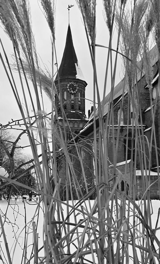 Photograph by Ольга Фомина