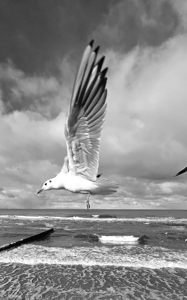 Photograph by Ольга Фомина