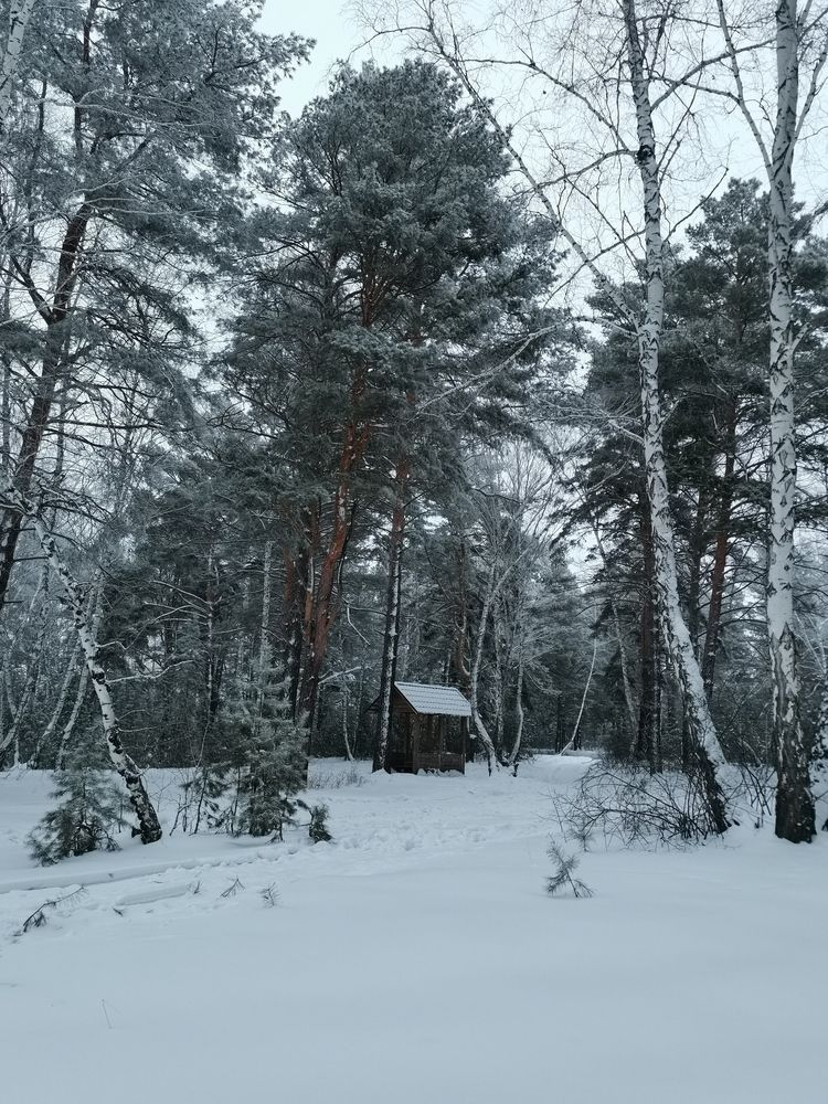 Photograph by Любовь Лунина