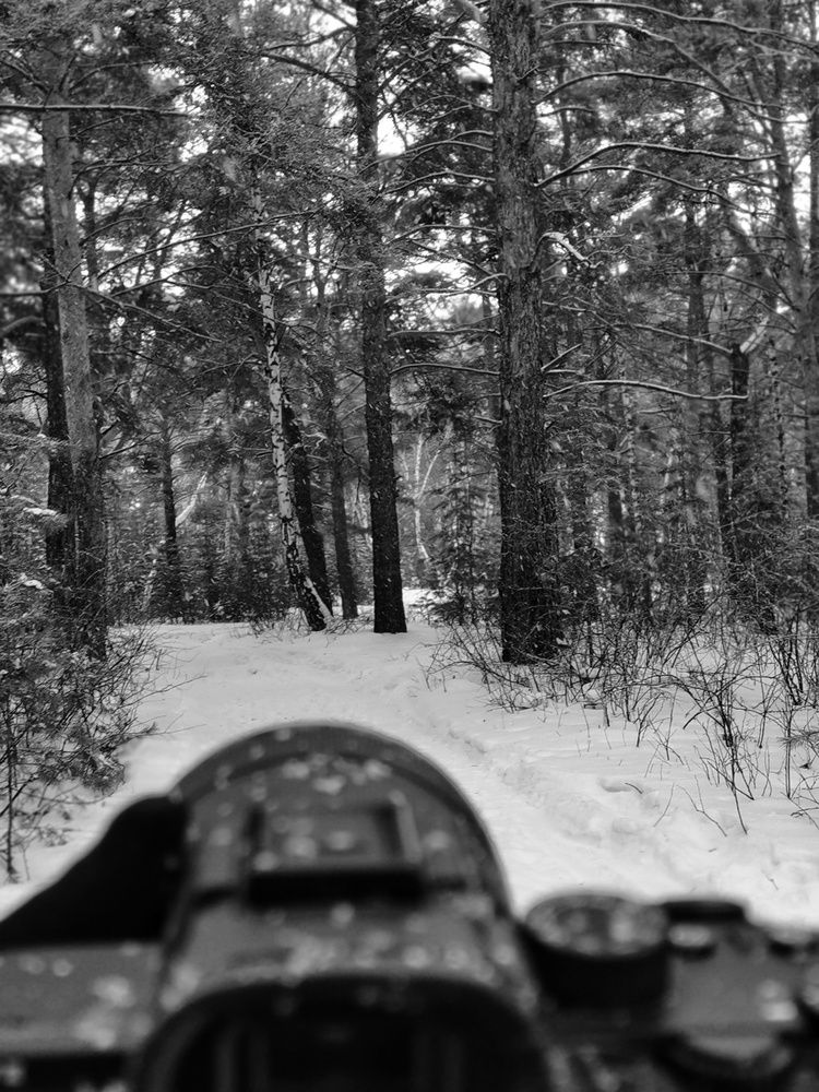 Photograph by Любовь Лунина