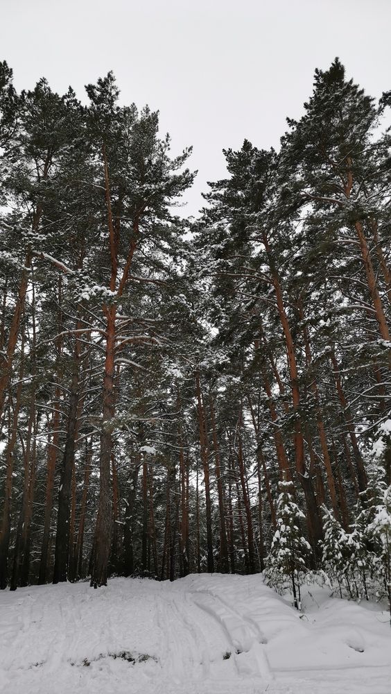 Photograph by Любовь Лунина