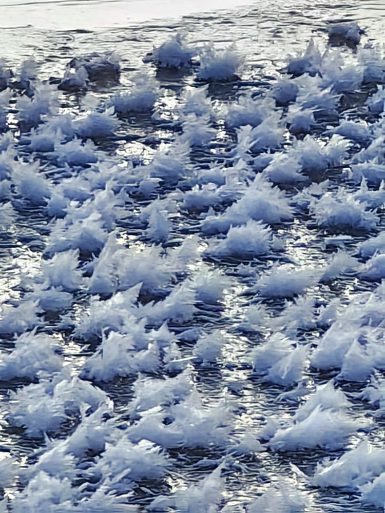 Photograph by Лариса Суворова