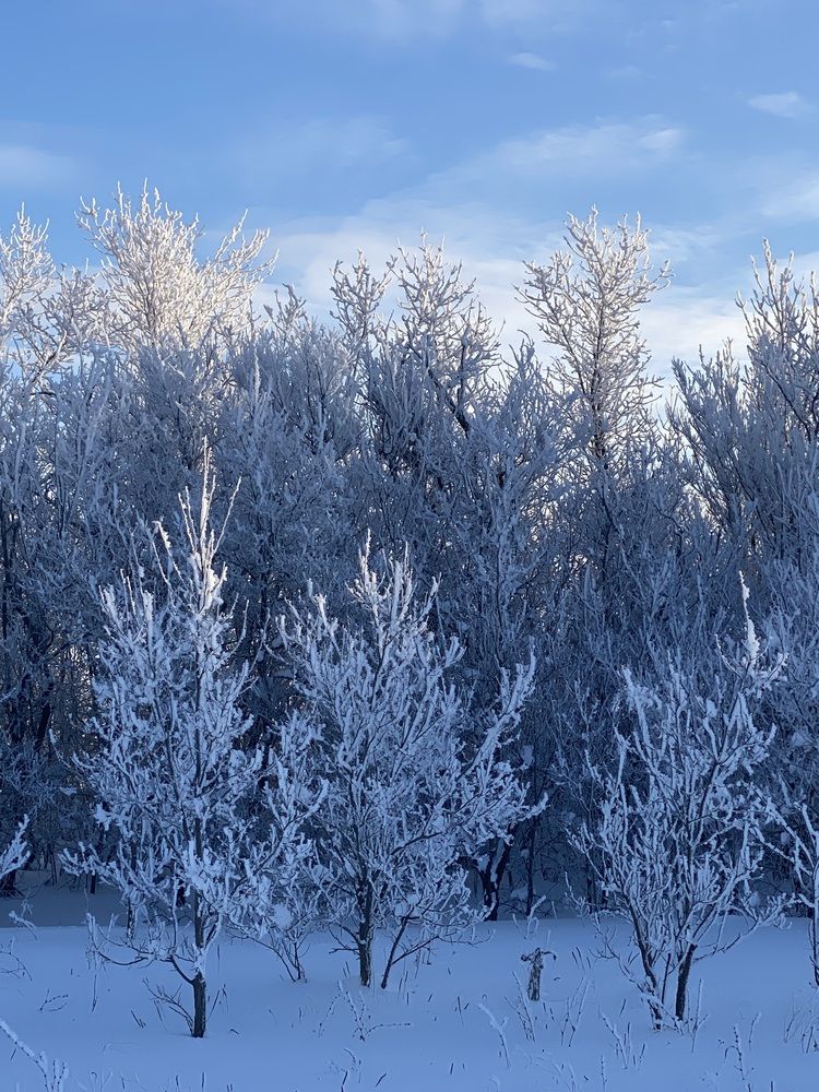 Photograph by Артем Логинов