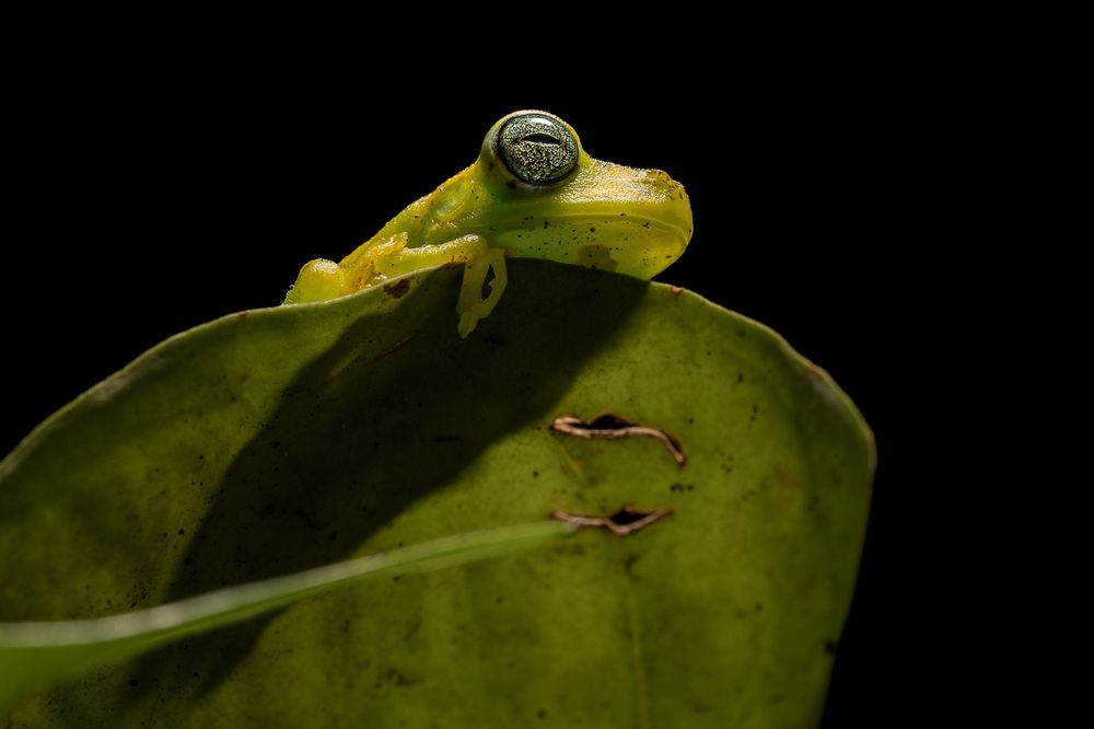 Photograph by María Paula Lozano