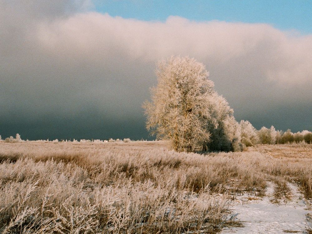 Photograph by Юлия Фомина