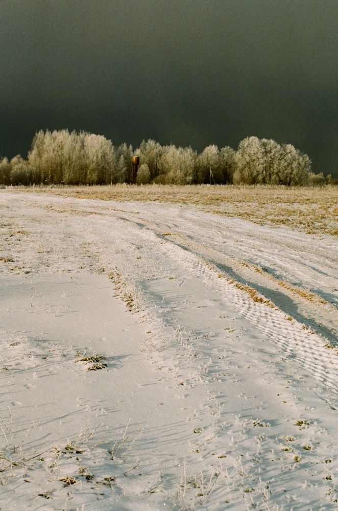 Photograph by Юлия Фомина