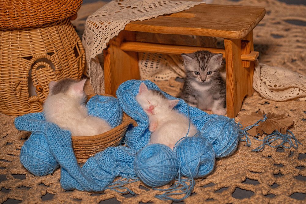 Фотография автора Анастасия Наумова