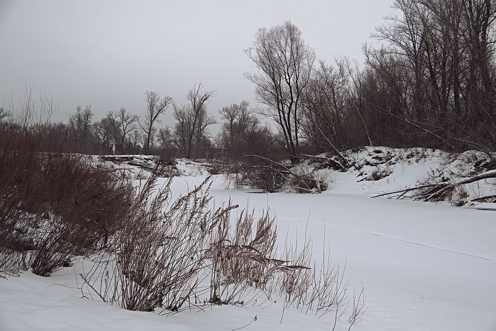 Photograph by Михаил Король