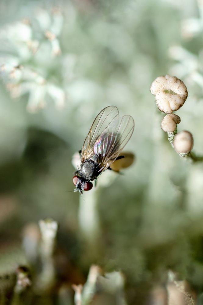 Приготовилась