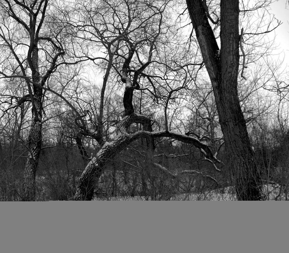 Photograph by Михаил Король