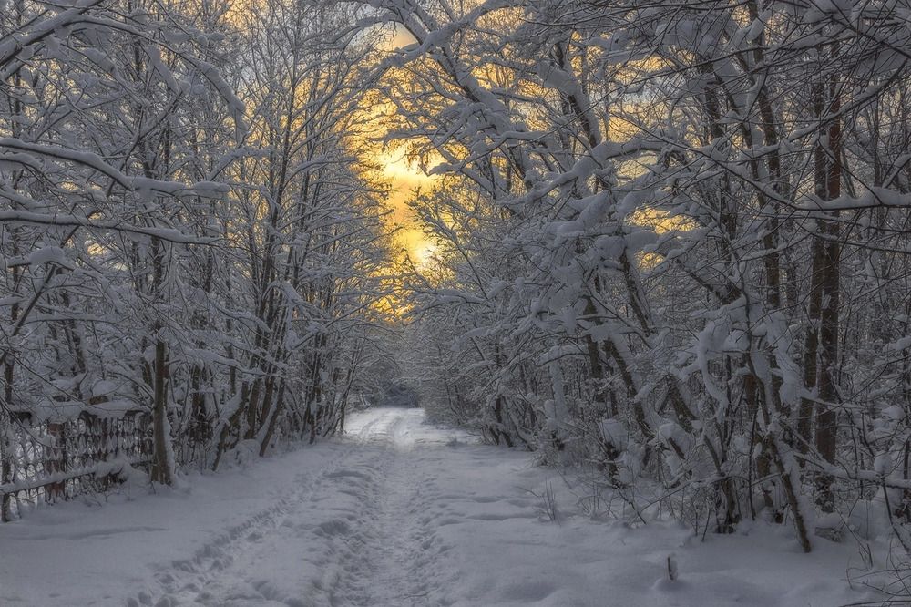 Photograph by Клясюк Галина