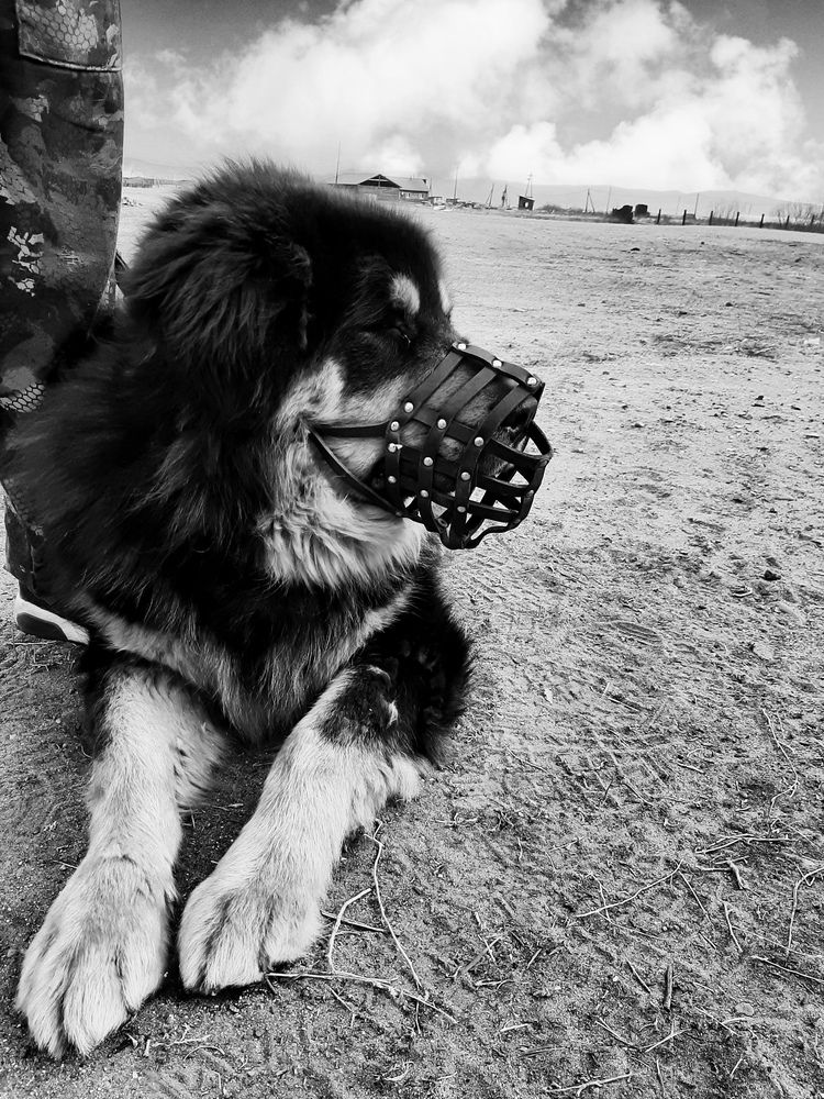 Photograph by Надежда Козулина