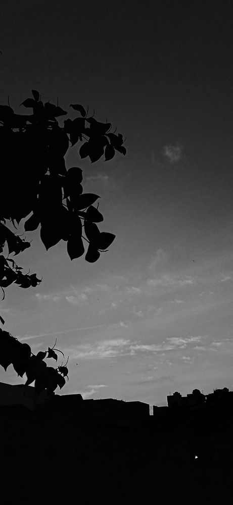 Photograph by Yasha Akhtar