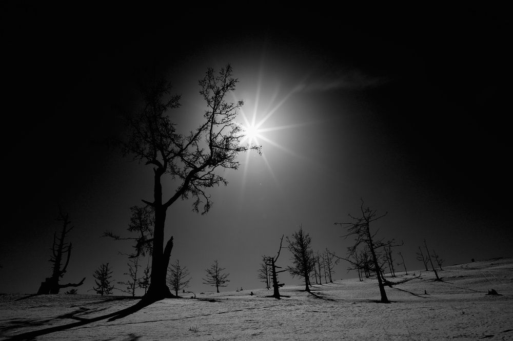 Photograph by Оксана Соколова