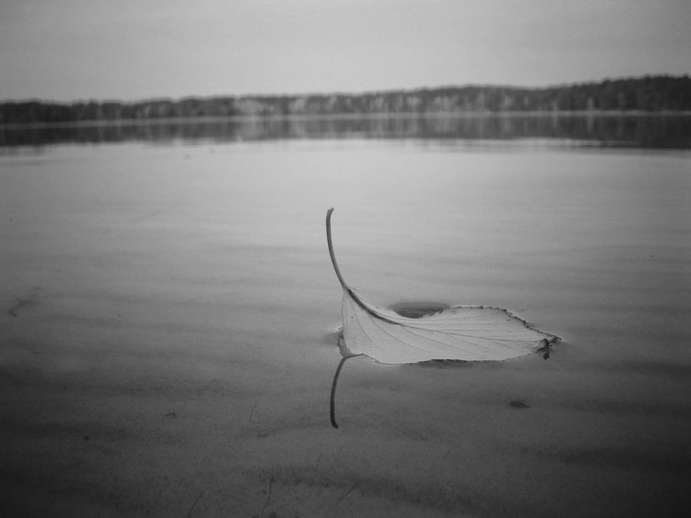 Photograph by Елена Силантьева