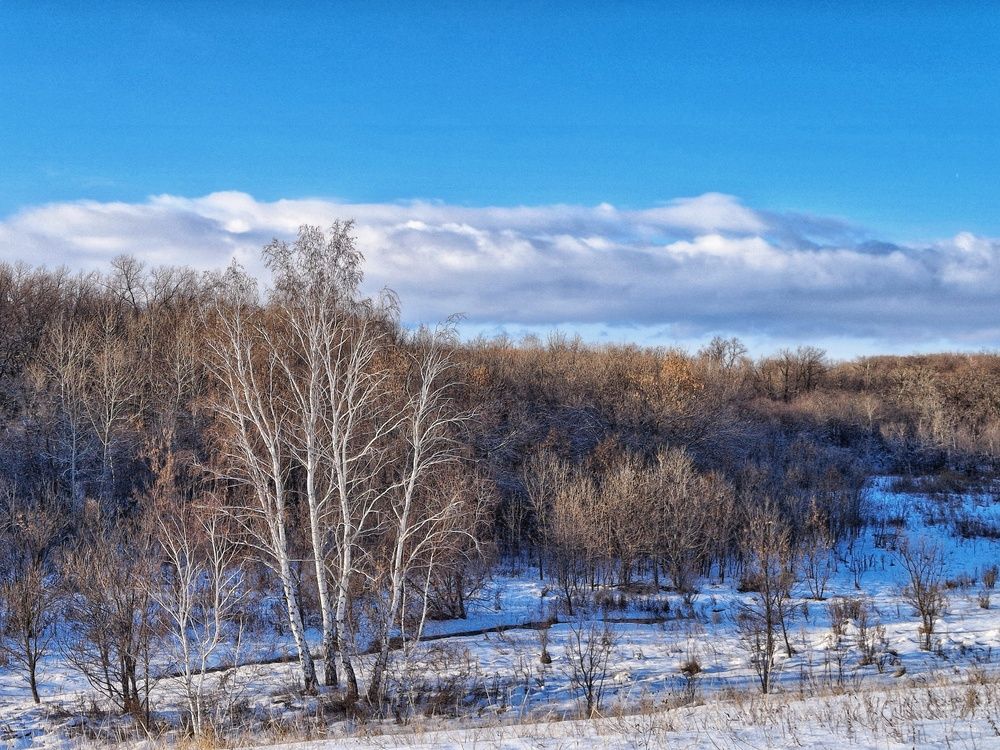 Photograph by Марина Мальцева